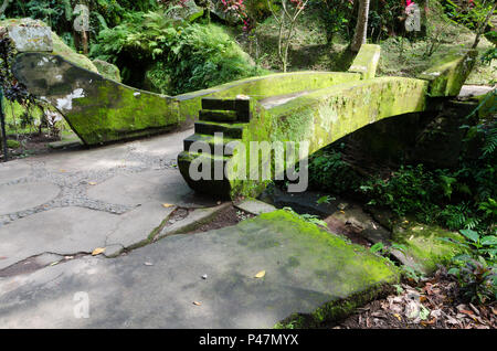 Steinerne Brücke von Moschus in Goa Gajah Heiligtum in Bali, Indonesi Stockfoto