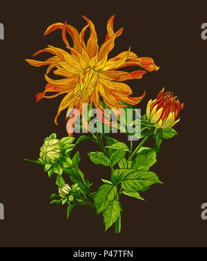Sammlung von Hand gezeichnete Blumen kunst Linie von Hand zeichnen auf dunklem Hintergrund. Stock Vektor