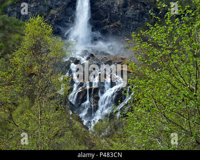 Norwegen, in der Nähe von Fjord, in der Nähe von Flam, inspirierenden Frühling mit fast durchsichtigen hellgrüne Blätter, schöne volle mehrere Wasserfall im Berggebiet Stockfoto