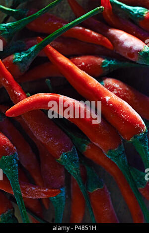 Von oben nach unten geschossen von ein paar Kleine rote Chilis mit Frost auf ihnen Stockfoto
