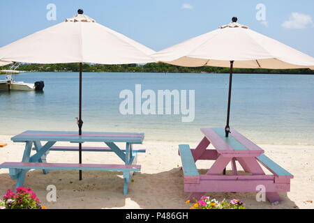 Bunte rosa und blaue Picknicktische am Strand auf Bahamas Stockfoto