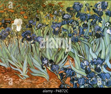 Niederländische Schule. Iris. 1889. Öl auf Leinwand (71 x 93 cm). Los Angeles, Paul Getty Collection. Autor: Vincent van Gogh (1853-1890). Standort: Private Collection, LOS ANGELES - Kalifornien. Stockfoto