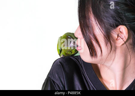 Grünen ara Vogel Haustier Kuss zu Frau Süß. Stockfoto