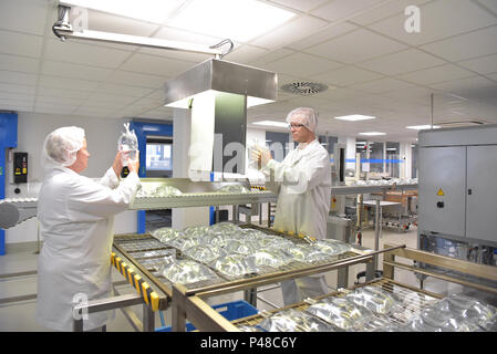Arbeitnehmer in sterilen Schutzkleidung für die Kontrolle der Qualität von Insulin Infusion Taschen in einer Fabrik Stockfoto