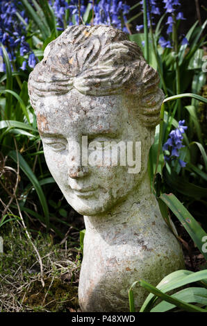 Eine unwahrscheinliche Funktion in einer Blume Grenze - eine Büste und eine unbekannte Frau in einem Englischen Garten in North Devon, Großbritannien Stockfoto