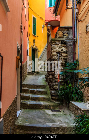 Enge, steile Passage, gesäumt mit bunten Häusern und Schritte, Manarola, Cinque Terre Stockfoto