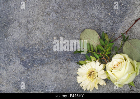 Champagnerfarbenen Rose und beige Gerbera liegen auf dunklen konkreten Hintergrund. Stockfoto