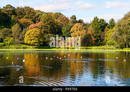 Mount Stewart Herbstfarben Boating Lake County Down Nordirland Stockfoto