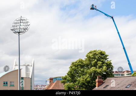 TV Kamera Operator auf einer erhöhten Plattform in einem Übertragungswagen hoch über Trent Bridge Cricket Ground, Nottinghamshire, England, Großbritannien Stockfoto