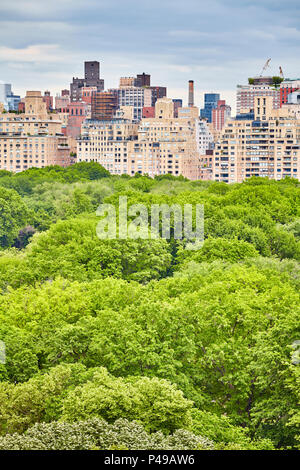 Central Park und Upper East Side von Manhattan, New York City, USA. Stockfoto