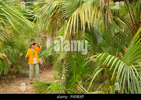 Nature Trail, Lake Woodruff National Wildlife Refuge, Florida Stockfoto