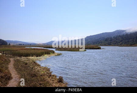 Schlammigen Weg neben Tomales Bay bei Ebbe Stockfoto