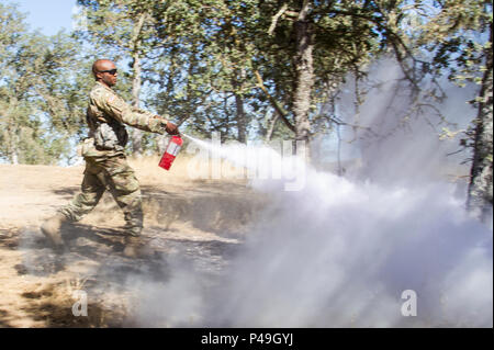 Ein US-Armee-reservesoldat bewegt sich Schmutz um den Umfang eines kleinen Feuer seiner Ausbreitung bis Beobachter Trainer Trainer kommen mit Feuerlöschern nach einem Mörser Simulator entzündet trockenes Gras während eines abgestürzten Hubschrauber Ausbildung Szenario als Teil von Combat Support Training Übung 91-16-02, Fort Hunter Liggett, Calif., 19. Juni 2016 zu halten. Als größte US-Armee finden Übung, CSTX 91-16-02 bietet Soldaten mit einzigartigen Möglichkeiten, Ihre technischen und taktischen Fähigkeiten im Kampf - wie Bedingungen zu schärfen. (Foto von der U.S. Army Sgt. Marty Borton, 367 Mobile Public Affairs Stockfoto