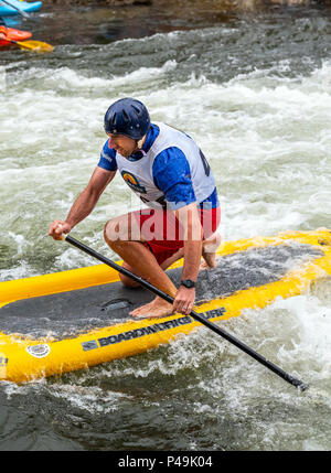 Wettbewerber Rennen im standup paddleboard Ereignis; Fibark River Festival; Arkansas River; Salida, Colorado, USA Stockfoto