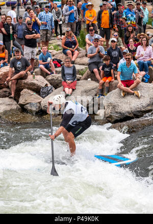 Wettbewerber Rennen im standup paddleboard Ereignis; Fibark River Festival; Arkansas River; Salida, Colorado, USA Stockfoto