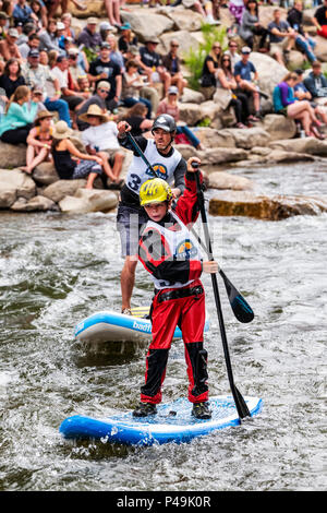 Wettbewerber Rennen im standup paddleboard Ereignis; Fibark River Festival; Arkansas River; Salida, Colorado, USA Stockfoto