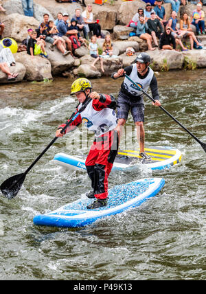 Wettbewerber Rennen im standup paddleboard Ereignis; Fibark River Festival; Arkansas River; Salida, Colorado, USA Stockfoto