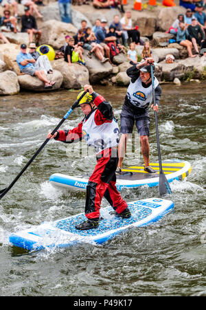 Wettbewerber Rennen im standup paddleboard Ereignis; Fibark River Festival; Arkansas River; Salida, Colorado, USA Stockfoto