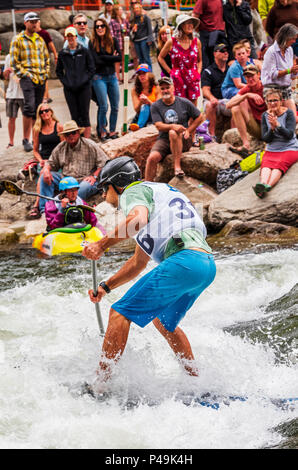 Wettbewerber Rennen im standup paddleboard Ereignis; Fibark River Festival; Arkansas River; Salida, Colorado, USA Stockfoto