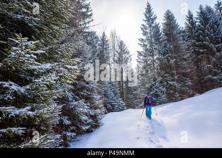 Wanderer mit Schneeschuhen auf Schnee Trail im Winter Landschaft aus Wald in Oberstdorf, Bayern Alpen im Süden von Deutschland. Schöne Landschaft mit Nadelholz Stockfoto