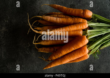 Organische Nantes Karotten auf rustikalen dunklen Hintergrund. Frische Superfood Gesund Essen Konzept. Stockfoto