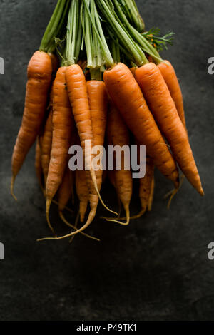 Organische Nantes Karotten auf rustikalen dunklen Hintergrund. Frische Superfood Gesund Essen Konzept. Stockfoto