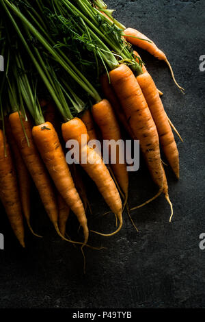 Organische Nantes Karotten auf rustikalen dunklen Hintergrund. Frische Superfood Gesund Essen Konzept. Stockfoto