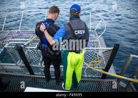 Ein Calypso Star Charter Crew bereitet Cpl. Ashton T. Metzger, ein Anti-tank missileman, zum Tauchen im Meer in der Nähe von Neptun Island Marine Park, South Australia, Australien, 26. Juni 2016. Us-Marines und Matrosen mit Marine Drehkraft - Darwin hatte die seltene Gelegenheit zu Tauchen mit Haien vor Ausübung Hamel beginnt. Metzger, von Montrose, Colorado, ist mit Waffen Firma, 1.BATAILLON, 1. Marine Regiment, MRF-D. (U.S. Marine Corps Foto von Cpl. Carlos Cruz jr./Freigegeben) Stockfoto