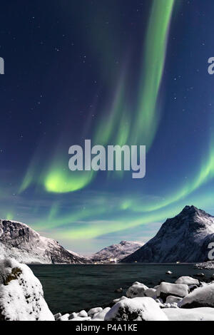Nordlichter (Aurora Borealis) an Mefjorden Fjord, Berg in Troms, Norwegen, Senja, Nordland, Norwegen, Europa Stockfoto