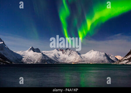 Nordlichter (Aurora Borealis) an Mefjorden Fjord, Berg in Troms, Norwegen, Senja, Nordland, Norwegen, Europa Stockfoto