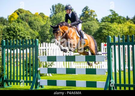 Hickstead, West Sussex, UK. 21 Juni, 2018. Die Al Shira'aa Hickstead Derby treffen. Springen. Shane Grün reiten Z sieben Caretina. IRL. Das Hickstead jährliche Grade C-Meisterschaft. Der All England Parcours, Hickstead, West Sussex. Tag 2. 21.06.2018. Credit: Sport in Bildern/Alamy leben Nachrichten Stockfoto