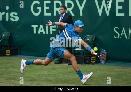 Halle, Deutschland. 21 Juni, 2018. Tennis, ATP-Tour, Singles, Männer, Runde 16: Borna Coric aus Kroatien in Aktion gegen Basilashvili von Georgia. Credit: Friso Gentsch/dpa/Alamy leben Nachrichten Stockfoto