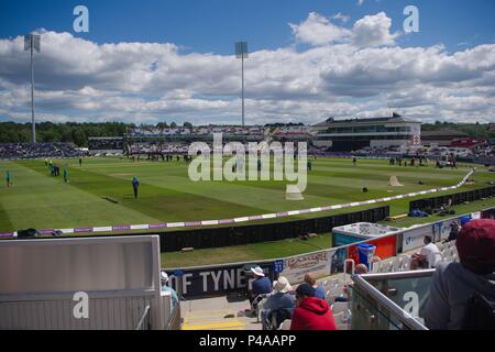 Chester-le-Street, England vom 21. Juni 2018. Das Australien und England cricket Teams üben vor der vierten ODI im Emirates Riverside. Credit: Colin Edwards/Alamy Leben Nachrichten. Stockfoto