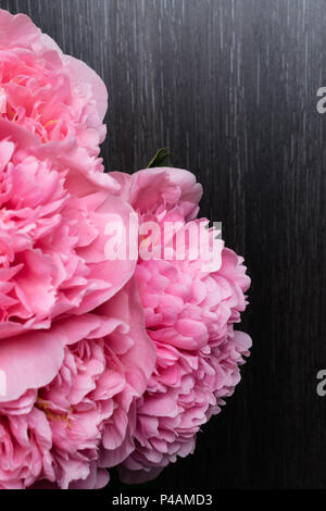 Schöne frische Pfingstrosen auf Holz- Oberfläche. Atemberaubende rosa Pfingstrosen auf schwarzen Holzmöbeln im Landhausstil Hintergrund. Platz kopieren Stockfoto