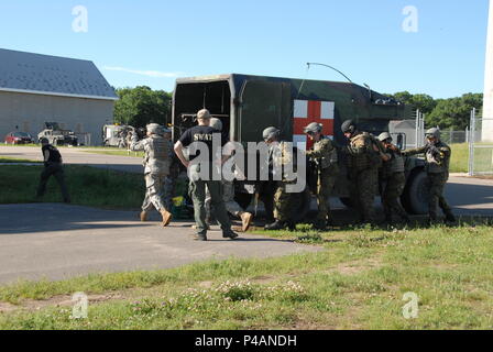 Während ein Höhepunkt, Soldaten der Minnesota National Guard und der Norwegischen Home Guard Verhalten squad Bewegungen unter der Leitung von lokalen Minnesota Polizeibeamte nach zwei Tagen der inländischen Operations Training am Lager Ripley Juni 24-26 durchgeführt. Mehrere Strafverfolgungsbehörden im Falle einschließlich Polizisten, sind ein Teil der SWAT-Teams aus St. Cloud teilgenommen, Osten Metro und Morrison, Sherburne und Washington Grafschaften. (Minnesota National Guard Foto von Master Sgt. Ashlee J. L. Sherrill) Stockfoto