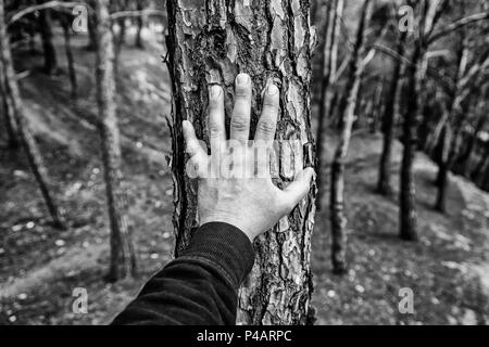 Männliche Hand Berühren eines Baumes, Detail der Liebe zur Natur, Umwelt Stockfoto