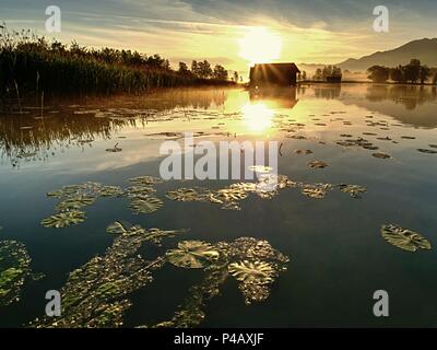 Romantischen sonnenaufgang Reflexion auf dem Kochelsee gegen Bootshäusern. Anfang Sommer morgen ansehen, Bayern, Deutschland Stockfoto