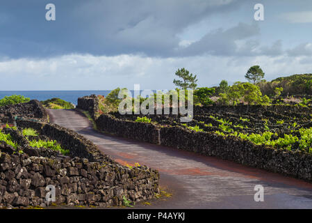 Portugal, Azoren, Insel Pico, Cabritos, Land straße Stockfoto