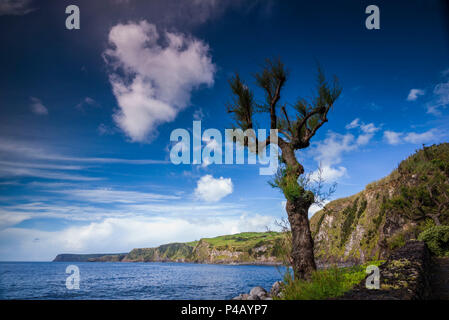 Portugal, Azoren, Faial Island, Riberinha, Porto da Boca Ribeira Strand Stockfoto