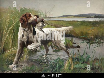 Uchermann Karl Kristian - engelsk Setter Med Stokkand I Munnen Stockfoto