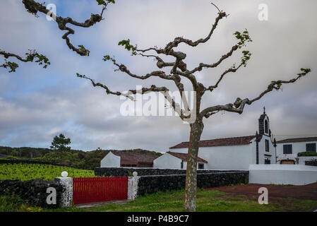 Portugal, Azoren, Insel Pico, Criacao Velha, Dorfkirche Stockfoto