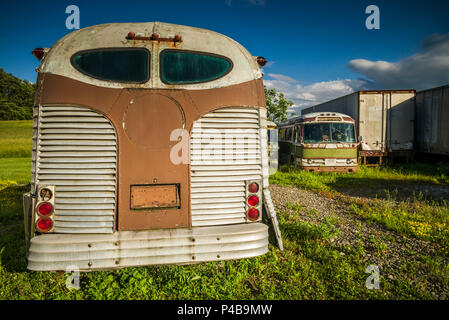 USA, New York, Finger Lakes Region, Trumansburg, antiken Bus Stockfoto