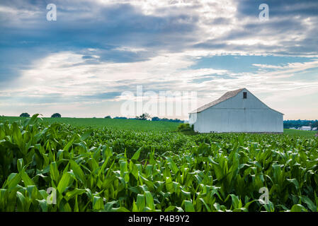 USA, Pennsylvania, von der Pennsylvania Dutch Country, Ronks, Bauernhof Stockfoto