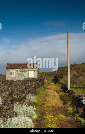 Portugal, Azoren, Insel Pico, Criacao Velha, kleinen Bauernhaus Stockfoto