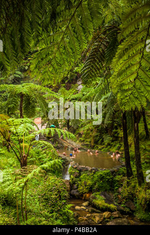 Portugal, Azoren, Sao Miguel Island, Caldeira Velha, Thermalaußenbecken Stockfoto