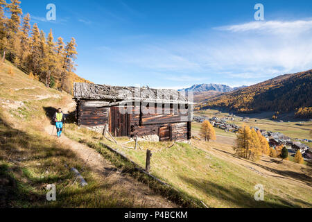 Wanderer unterwegs auf der Strecke in Livigno, Provinz Sondrio, Lombardei, Italien, Europa Stockfoto