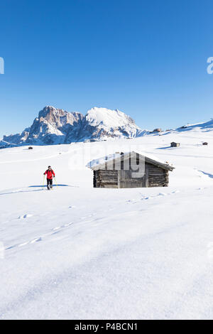 Ein Wanderer ist Wandern mit Schneeschuhen auf der Seiseralm mit Langkofel und Plattkofel im Hintergrund, Provinz Bozen, Südtirol, Trentino Alto Adige, Italien Stockfoto