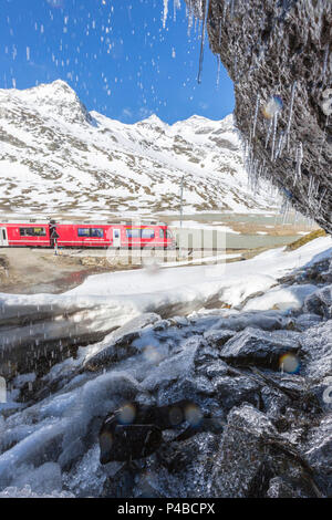 Bernina Express am Lago Bianco, Berninapass, Kanton Graubünden, Engadin, Schweiz Stockfoto