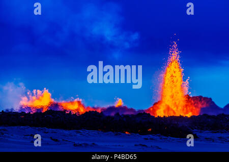 Lavafontänen am Holuhraun Riss Ausbruch in der Nähe von Bardarbunga Vulkan, ISLAND August 29, 2014, ein Riss Eruption in Holuhraun am nördlichen Ende der Magma eindringen, das nach Norden gezogen hatte begonnen, von der Bardarbunga Vulkan. Ist ein stratovulkan Bardarbunga unter dem Vatnajökull, Islands größten Gletscher entfernt. Bild Datum - September 2, 2014 Stockfoto