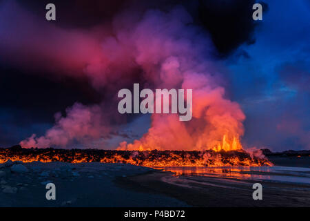 Glühende Lava aus dem Ausbruch an der Holuhraun Riss, in der Nähe des Bardarbunga Vulkan, Island. August 29, 2014, ein Riss Eruption in Holuhraun am nördlichen Ende der Magma Intrusion, welche nach Norden verschoben hatte, von der Bardarbunga Vulkan gestartet. Bild Datum - September 2, 2014 Stockfoto